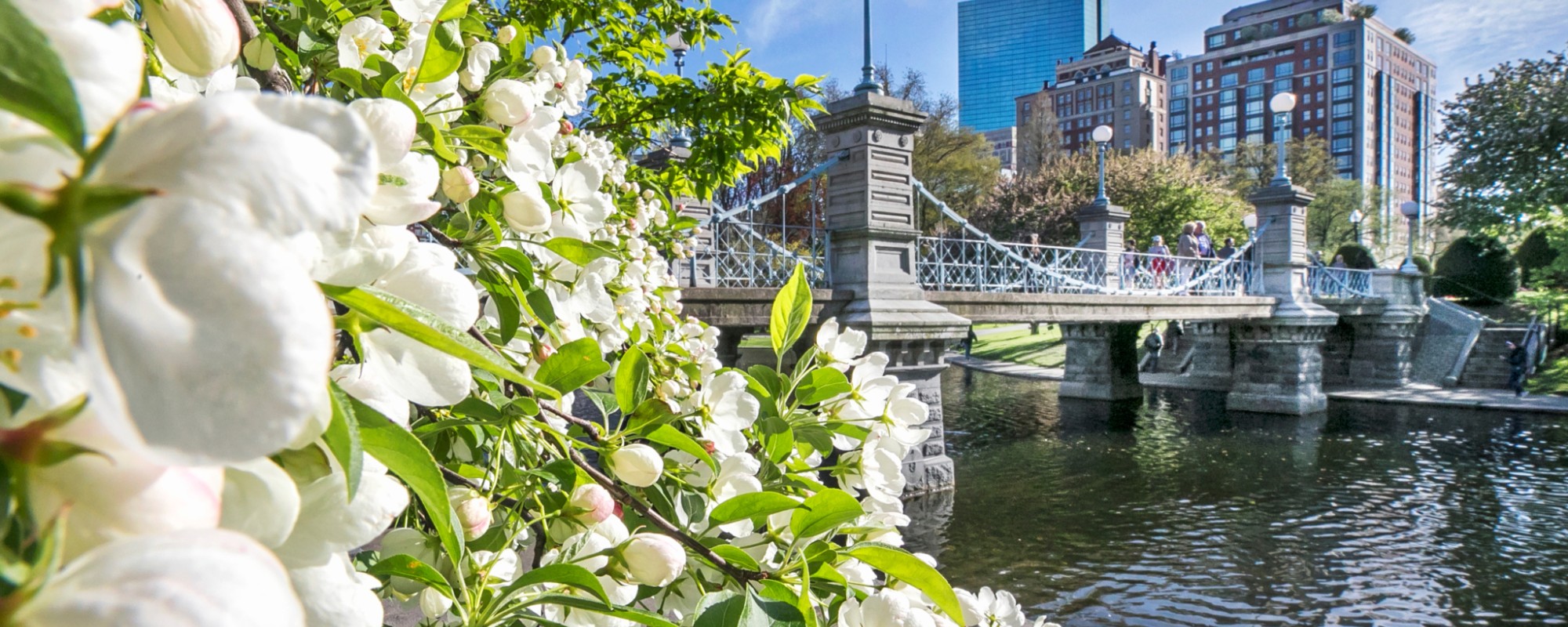 Flowers in bloom with a bridge crossing a canal in the background.