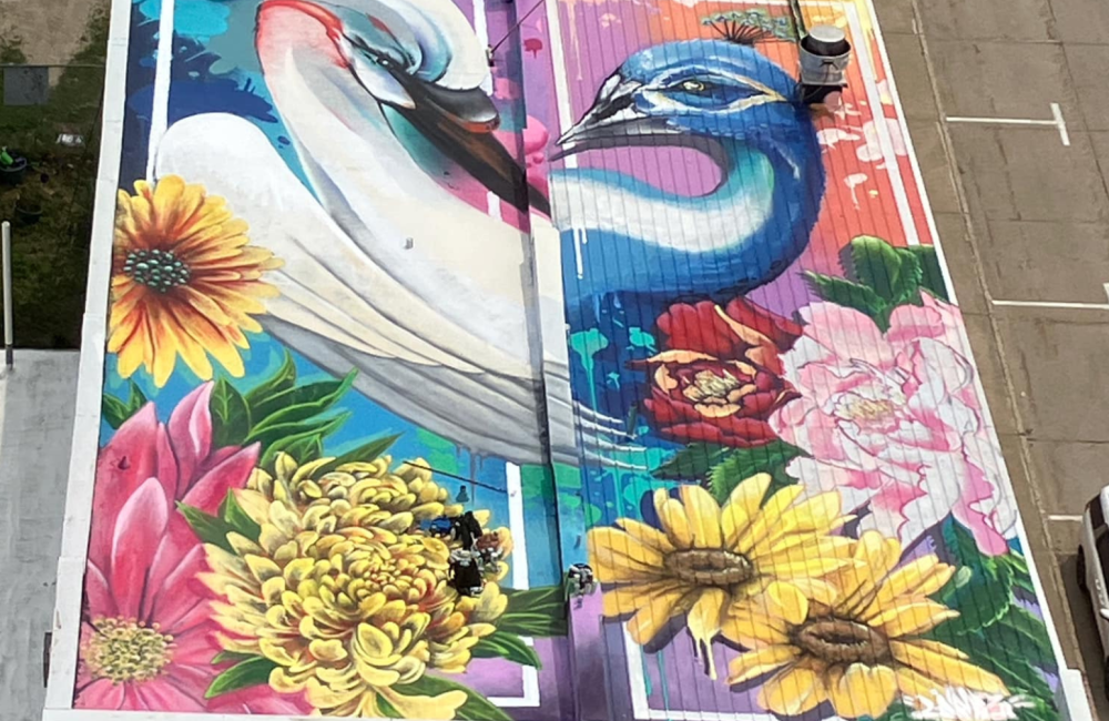 Overhead photo of a rooftop mural. Mural is a colorful depiction of two birds surrounded by flowers.