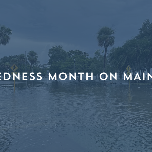 Hurricane Idalia storm surge in St. Petersburg, Florida at Flora Wylie Park.