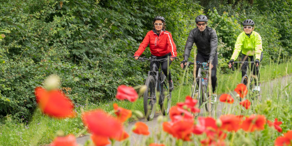 People riding bicycles in a park